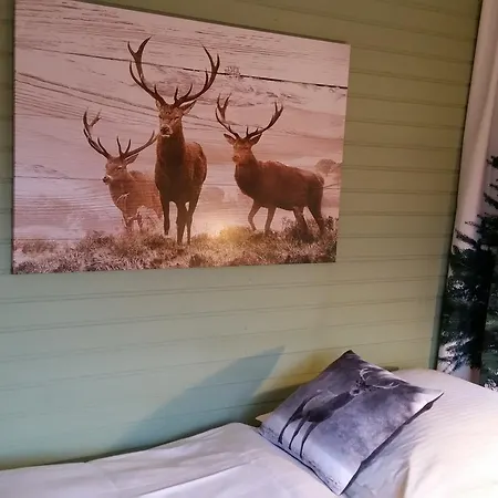 Landgasthof Zur Fichte 3* Bärenstein