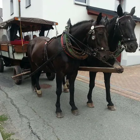 Landgasthof Zur Fichte Hotel