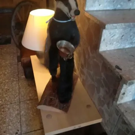 Hotel Landgasthof Zur Fichte