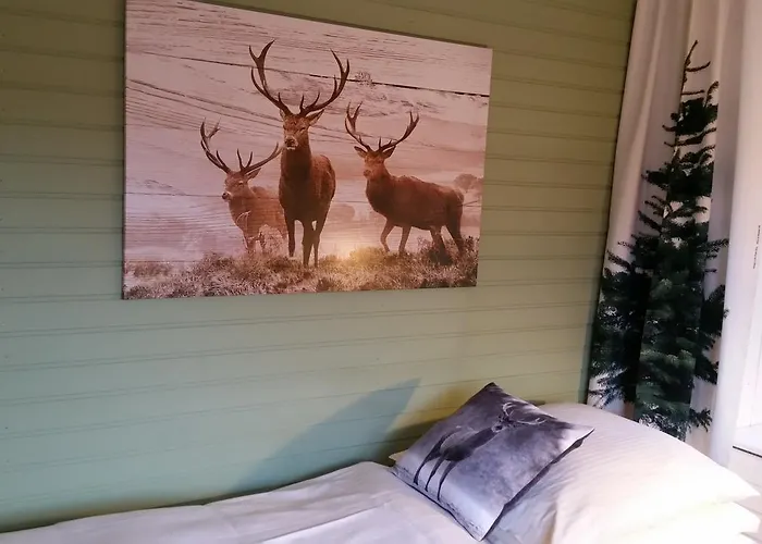 Landgasthof Zur Fichte 3* Barenstein