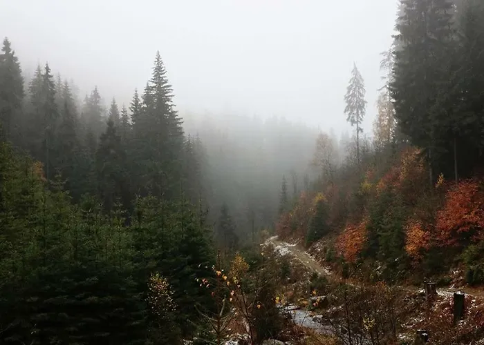 Hotel Landgasthof Zur Fichte 3*