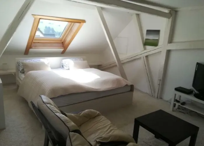 Hotel Landgasthof Zur Fichte Barenstein