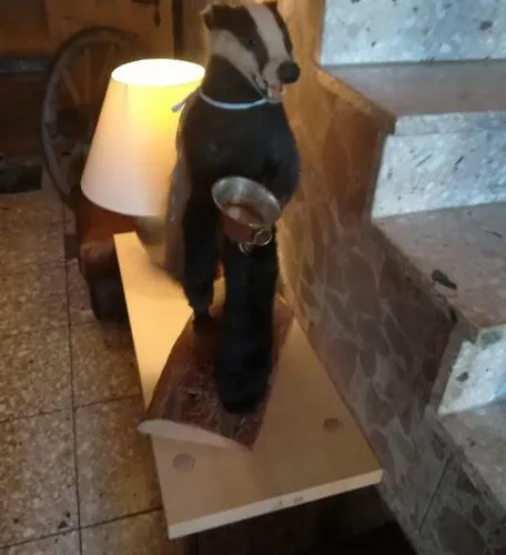 Hotel Landgasthof Zur Fichte